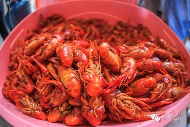 天嬌汽車文化節(jié)-一個(gè)可以吃喝玩樂(lè)的汽車節(jié)！