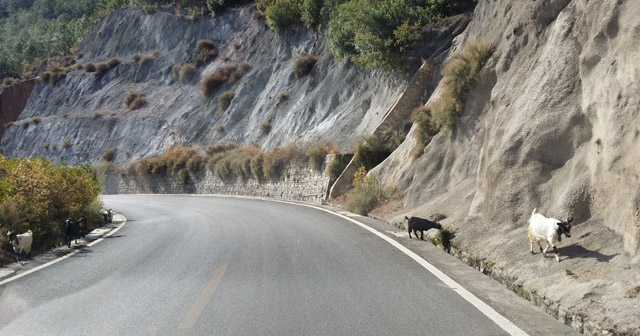 講真的，我碰到了20年后的我...