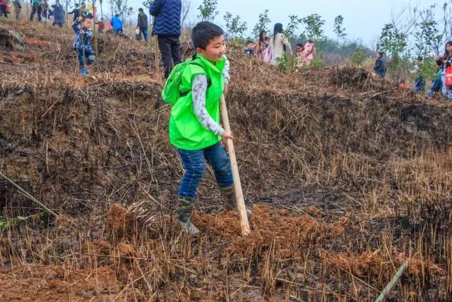 建設(shè)生態(tài)邵陽城，天嬌集團(tuán)在行動