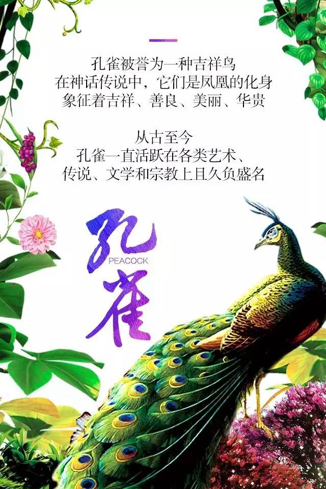 【915-918邵陽(yáng)秋季車(chē)展】鳳臨枝頭，雀雀雀雀雀實(shí)驚艷！
