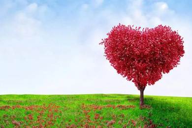 愛心灑人間，走進新時代..........倒計時兩天