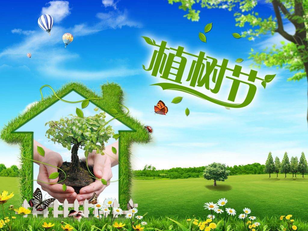 北京現(xiàn)代“智現(xiàn)代，植未來”，你我共建森林邵陽