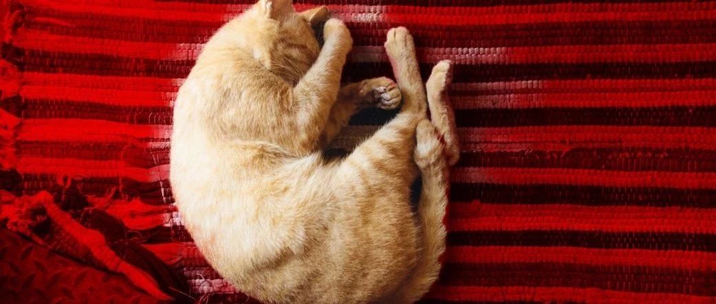 人類發(fā)展的動(dòng)力，除了懶，還有對(duì)舒適的追求