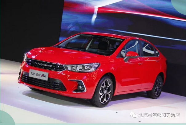 不負春光 | 最美出行季，拍檔在這里！