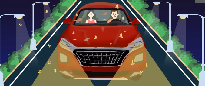 安全清除車身飛蟲，僅需十分鐘