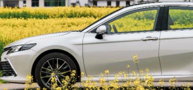 丨廣汽豐田天嬌寶慶店丨全新凱美瑞智能陪伴，將帶你馭見絕美婺源