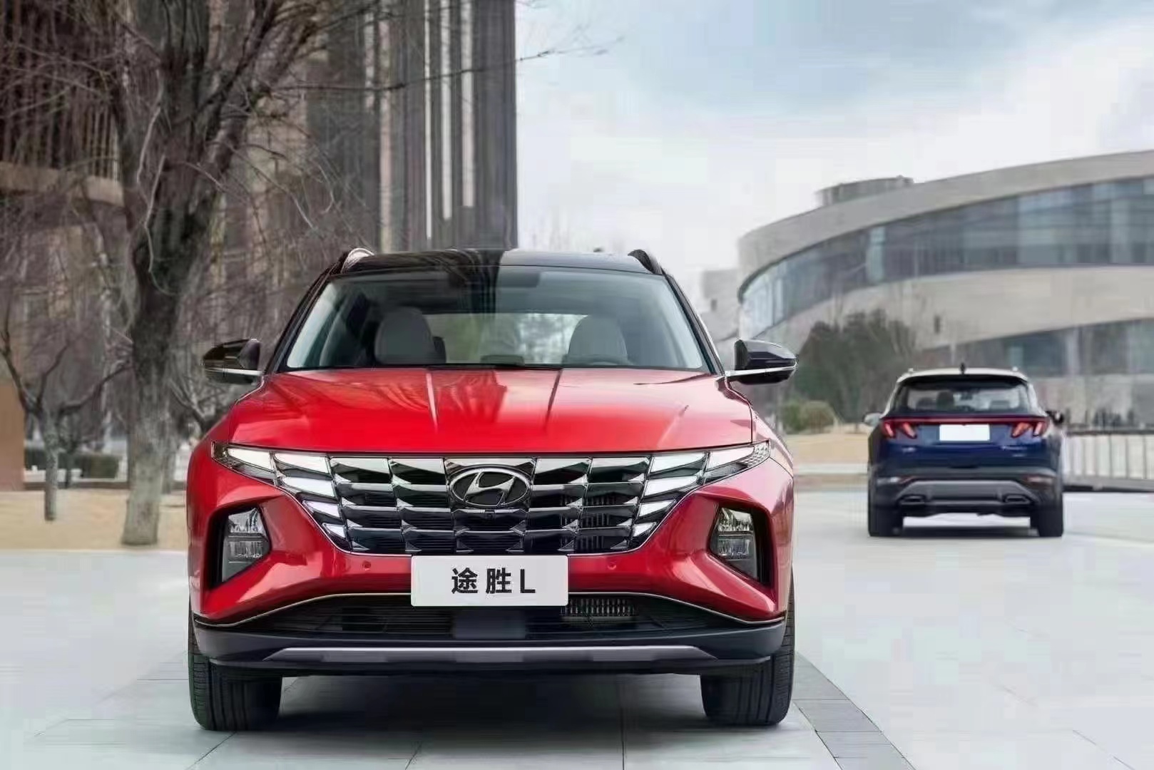 如何呵護(hù)家人，看這兒！